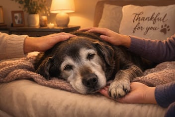 Recognizing Signs of a Dog Dying of Heart Failure