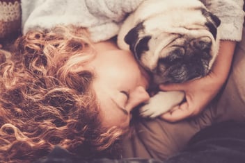 The Role of Comfort Centers in Pet End-of-Life Care