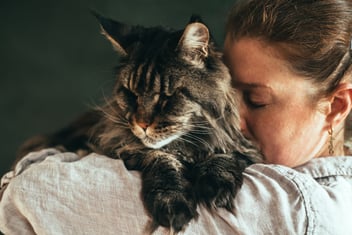 Quality of Life: Making Daily Assessment Part of Pet Care