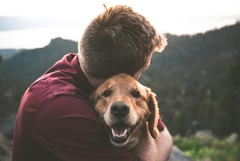 How to Prepare Emotionally and Practically for In‑Home Pet Euthanasia