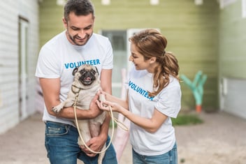 From Grief to Giving: Turning Your Pet’s Memory into Community Action