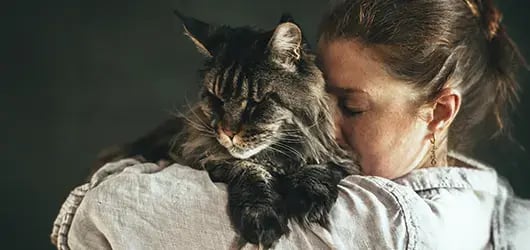 in-home-euthanasia