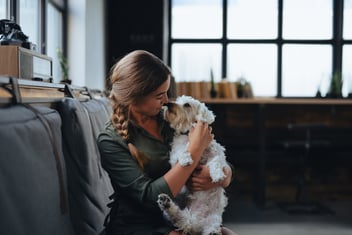 The Emotional Journey: Balancing Heart & Mind in Pet End-of-Life Care