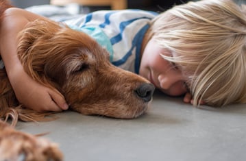 When to Consider Euthanasia: Understanding Quality of Life Data