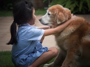 Preparing for Euthanasia: How to Talk to Kids About Euthanasia