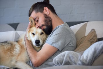Preparing for Euthanasia: What Your Pet Experiences