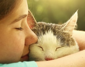 Preparing for Euthanasia: A Step-by-Step Guide to the Procedure