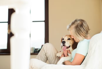 When Pain Masquerades as Depression in Senior Pets