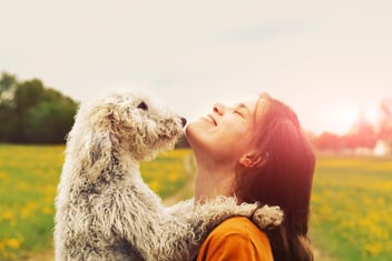 Understanding Kidney Disease in Dogs: The 4 Stages