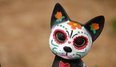 Exploring Pet Memorial Traditions from Around the Globe to Inspire You
