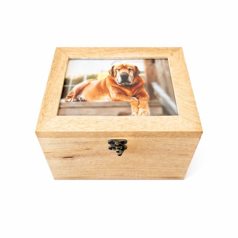 Mango wood memory chest urn with a photo window in the lid and a front clasp