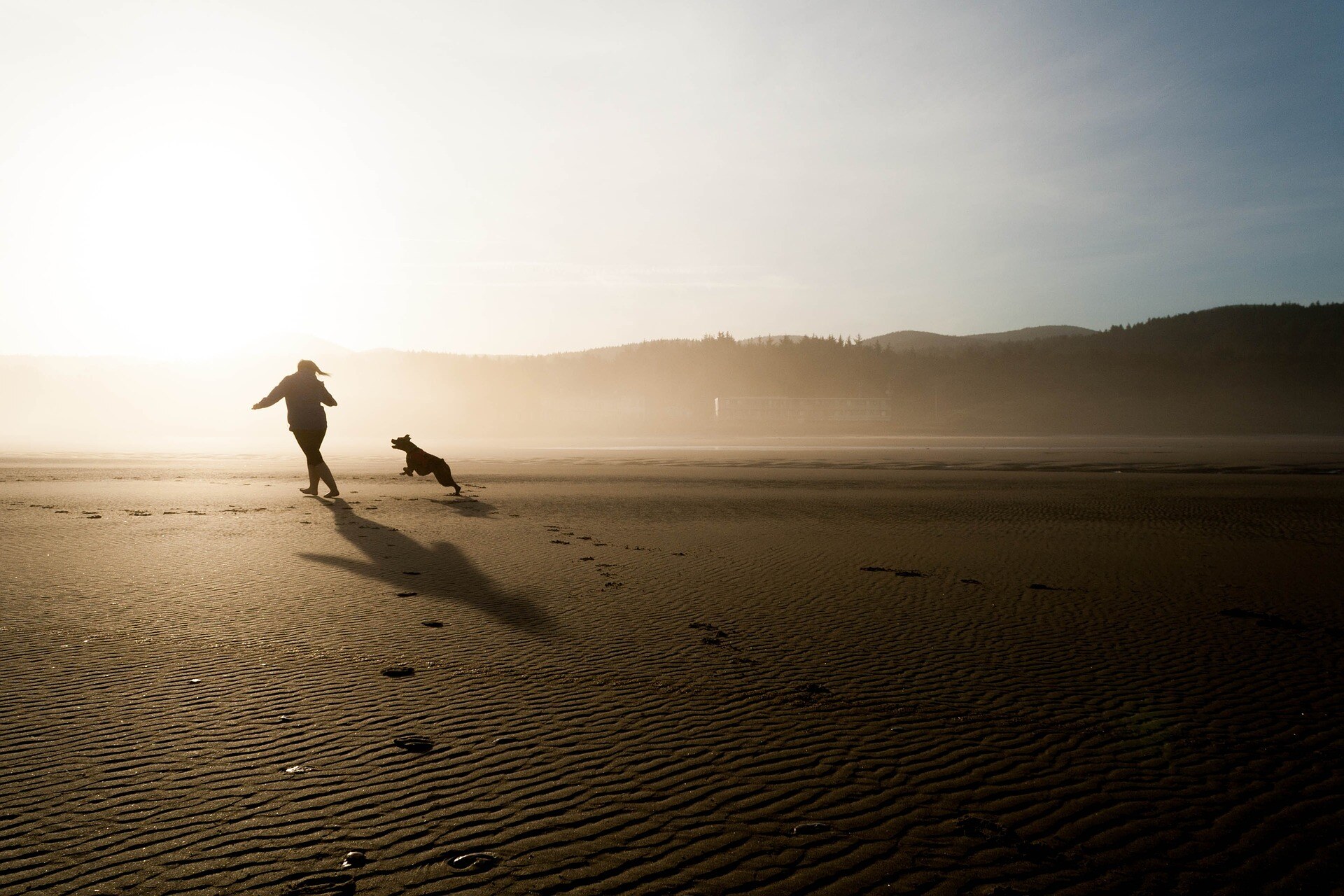 honor-pet-euthanasia-cremation