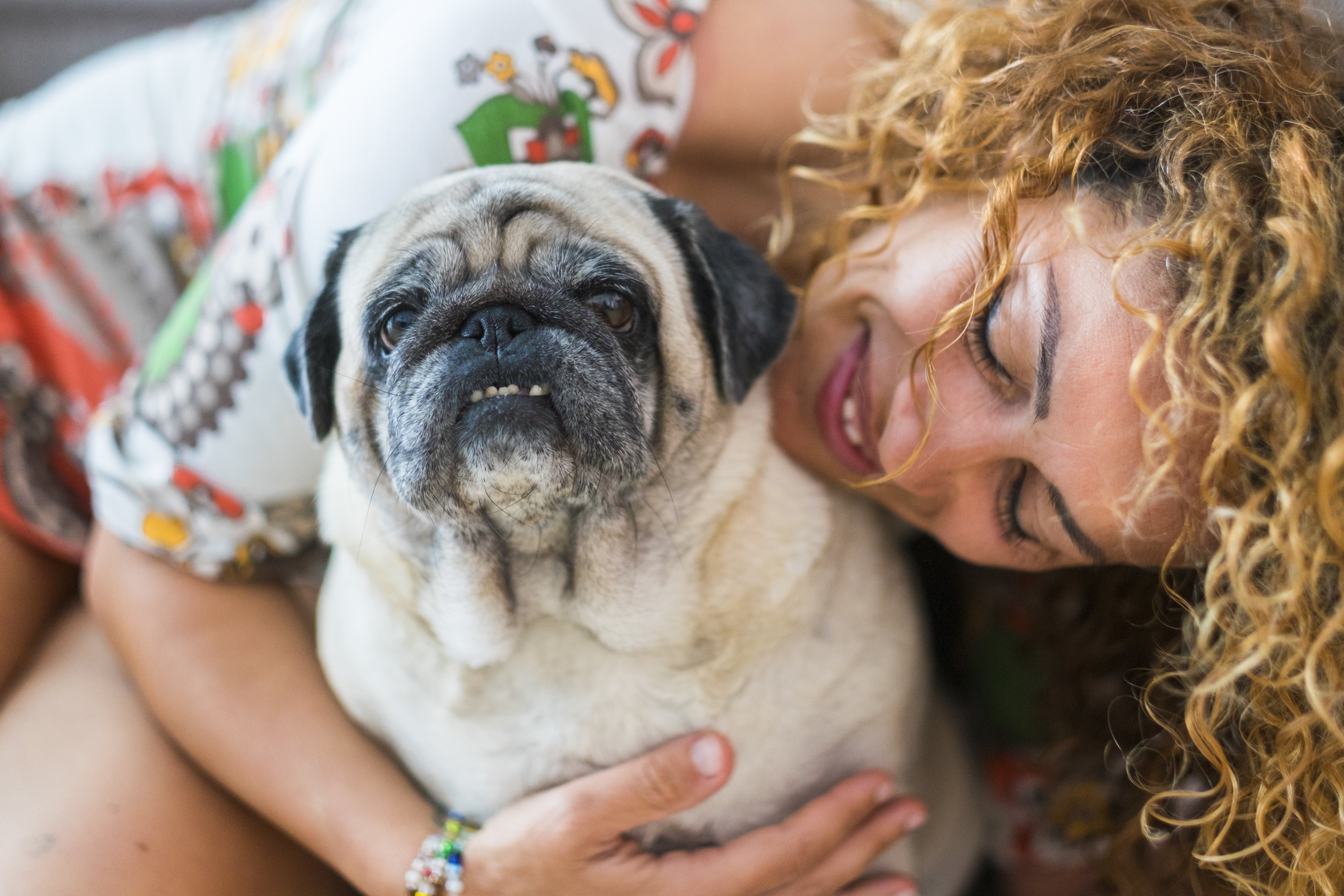 supporting-pets-vision-loss-tips